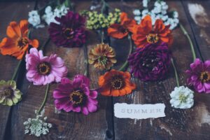 A collection of summer zinnia flowers on a rustic wooden table with a word SUMMER